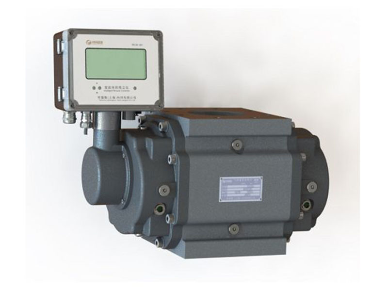 Gas Root Flow Meter