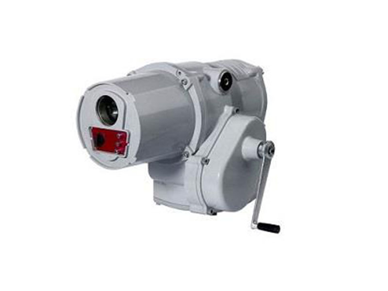 Quarter Turn Actuator